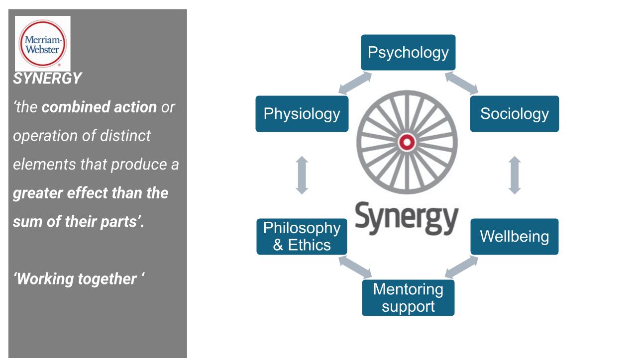 Synergy definition slide .pptx
